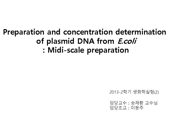 Preparation and concentration determination of plasmid DNA from E. coli : Midi-scale preparation 2013