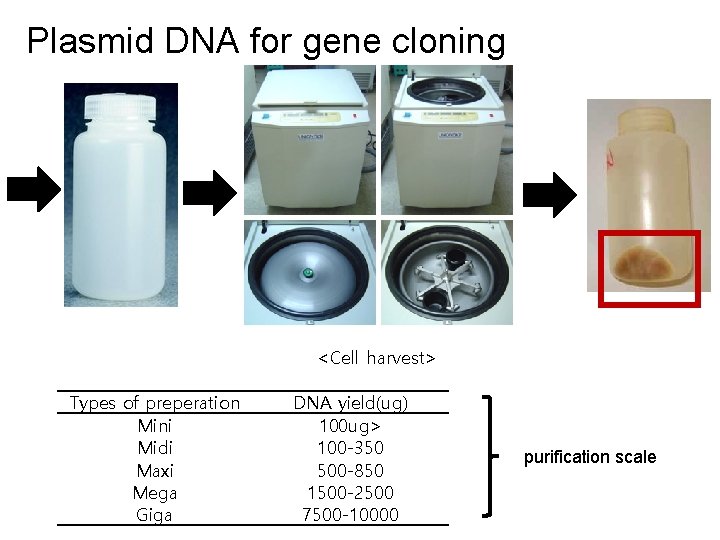 Plasmid DNA for gene cloning <Cell harvest> Types of preperation Mini Midi Maxi Mega