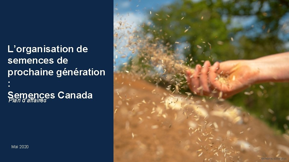 L’organisation de semences de prochaine génération : Semences Canada Plan d’affaires Mai 2020 1 L’organisation de semences de prochaine génération : Semences Canada Plan d’affaires Mai 2020 1