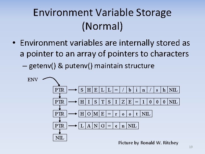 Environment Variable Storage (Normal) • Environment variables are internally stored as a pointer to