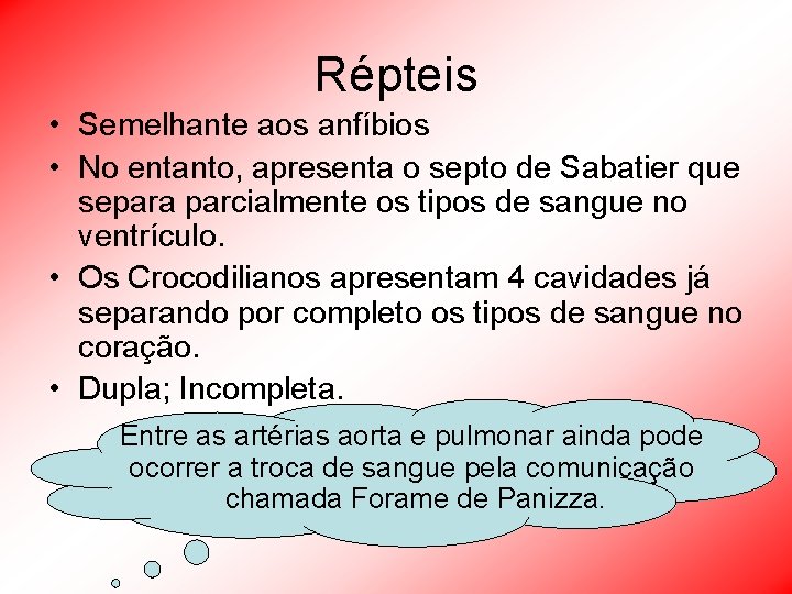 Répteis • Semelhante aos anfíbios • No entanto, apresenta o septo de Sabatier que