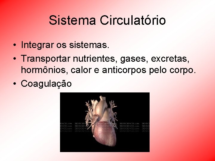 Sistema Circulatório • Integrar os sistemas. • Transportar nutrientes, gases, excretas, hormônios, calor e