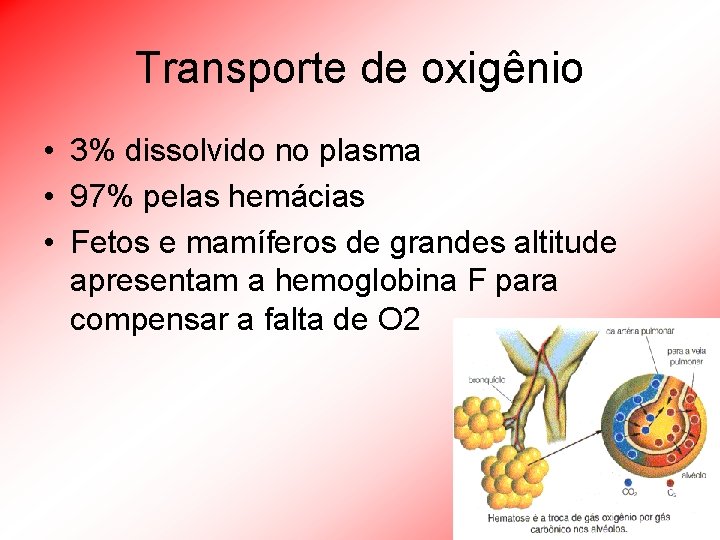 Transporte de oxigênio • 3% dissolvido no plasma • 97% pelas hemácias • Fetos