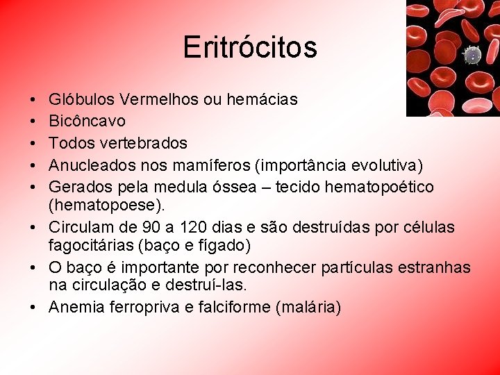 Eritrócitos • • • Glóbulos Vermelhos ou hemácias Bicôncavo Todos vertebrados Anucleados nos mamíferos