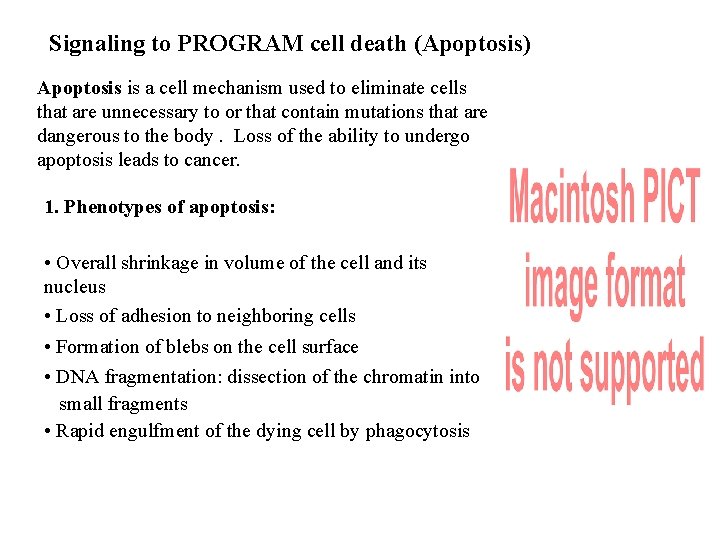 Signaling to PROGRAM cell death (Apoptosis) Apoptosis is a cell mechanism used to eliminate