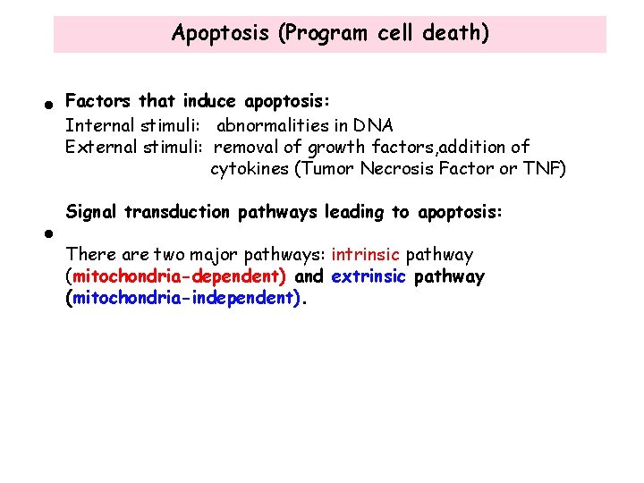 Apoptosis (Program cell death) • • Factors that induce apoptosis: Internal stimuli: abnormalities in