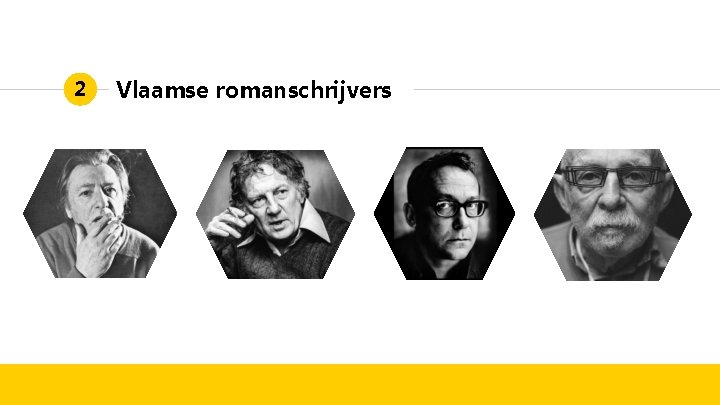 2 Vlaamse romanschrijvers 