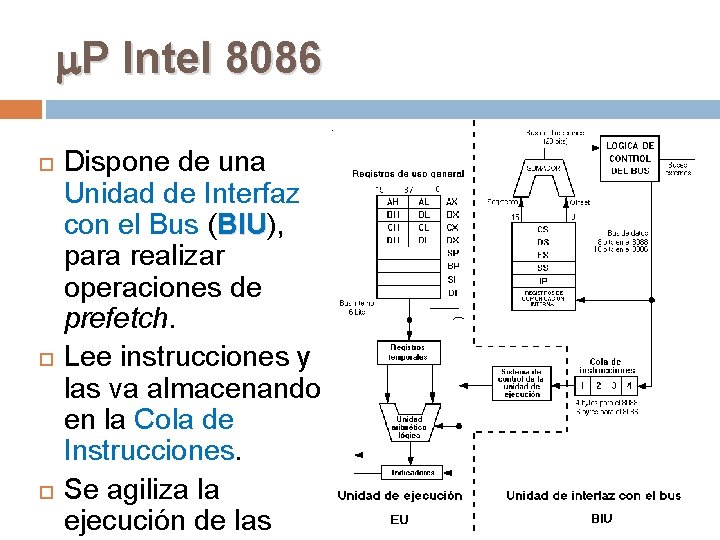  P Intel 8086 Dispone de una Unidad de Interfaz con el Bus (BIU),