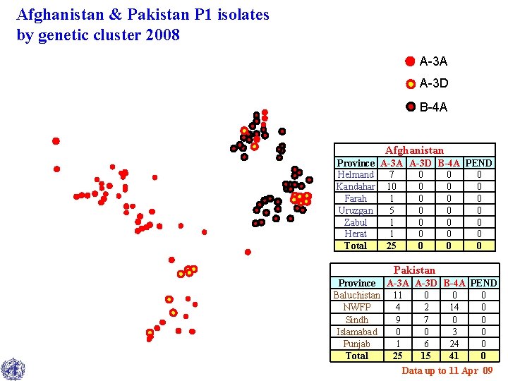 Afghanistan & Pakistan P 1 isolates by genetic cluster 2008 A-3 A A-3 D