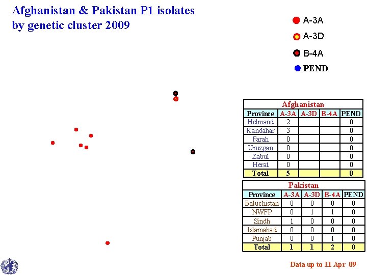 Afghanistan & Pakistan P 1 isolates by genetic cluster 2009 A-3 A A-3 D