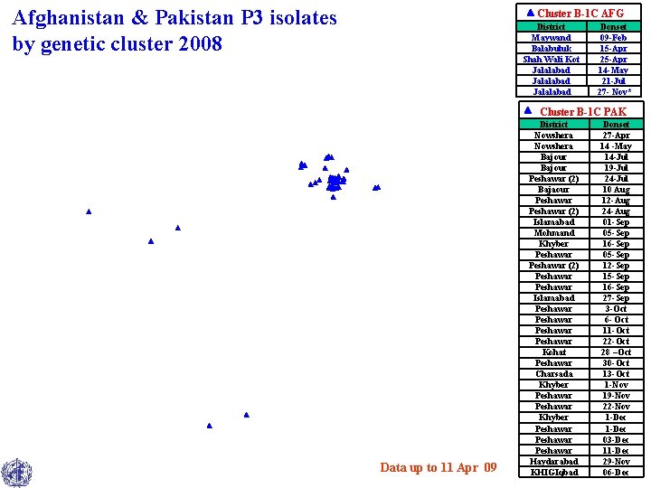 Afghanistan & Pakistan P 3 isolates by genetic cluster 2008 Cluster B-1 C AFG