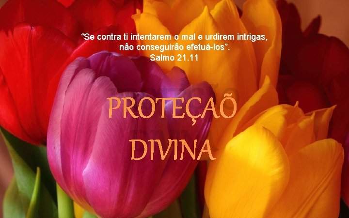 “Se contra ti intentarem o mal e urdirem intrigas, não conseguirão efetuá-los”. Salmo 21.