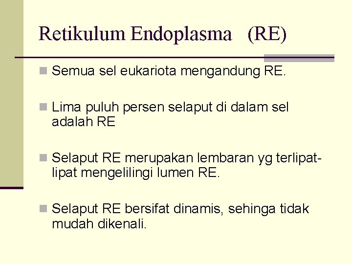 Retikulum Endoplasma (RE) n Semua sel eukariota mengandung RE. n Lima puluh persen selaput