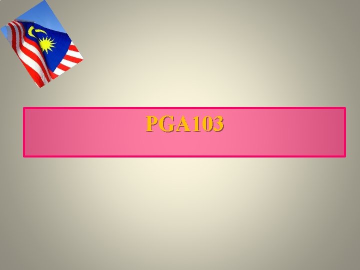 PGA 103 