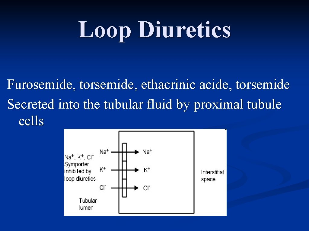 Loop Diuretics Furosemide, torsemide, ethacrinic acide, torsemide Secreted into the tubular fluid by proximal