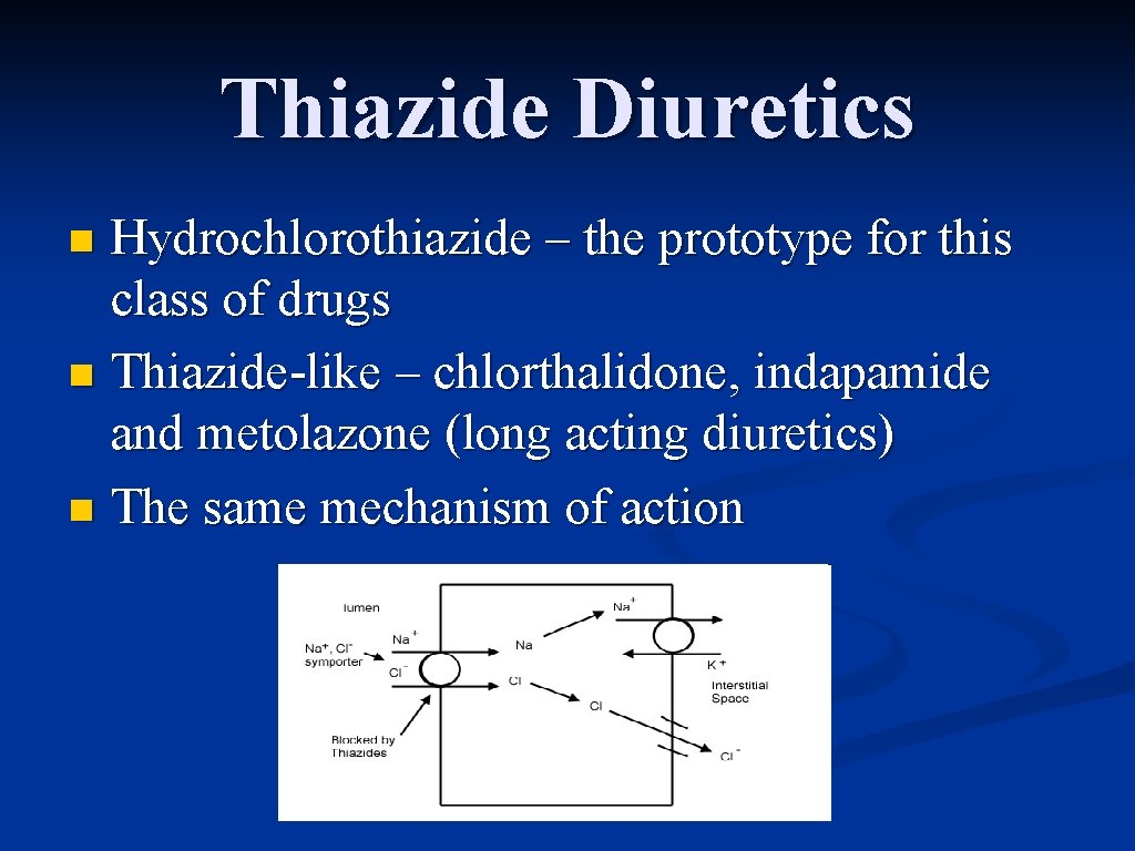Thiazide Diuretics Hydrochlorothiazide – the prototype for this class of drugs n Thiazide-like –
