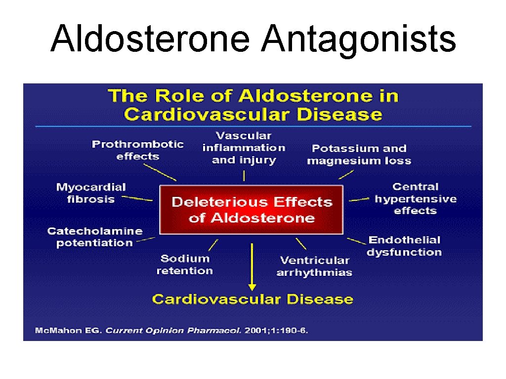 Aldosterone Antagonists 