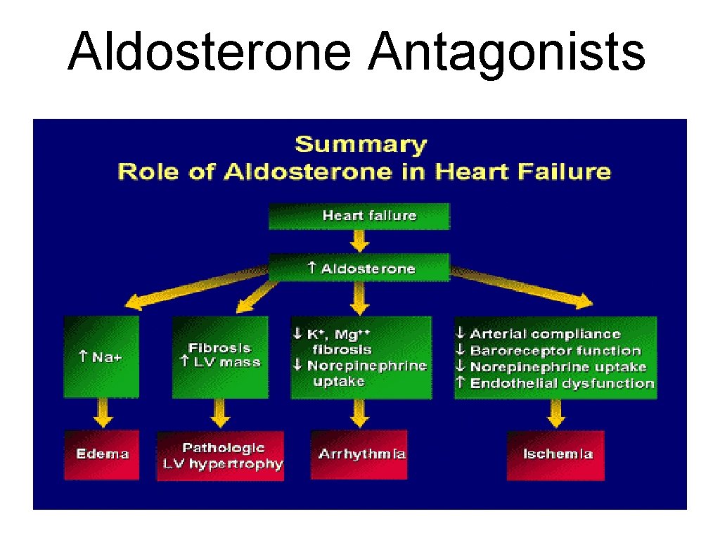 Aldosterone Antagonists 