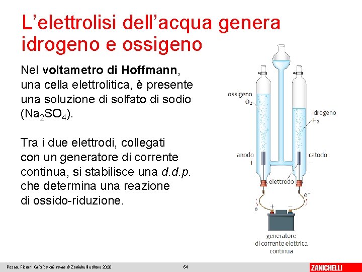 L’elettrolisi dell’acqua genera idrogeno e ossigeno Nel voltametro di Hoffmann, una cella elettrolitica, è