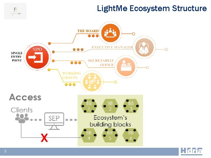 Light. Me Ecosystem Structure 55 