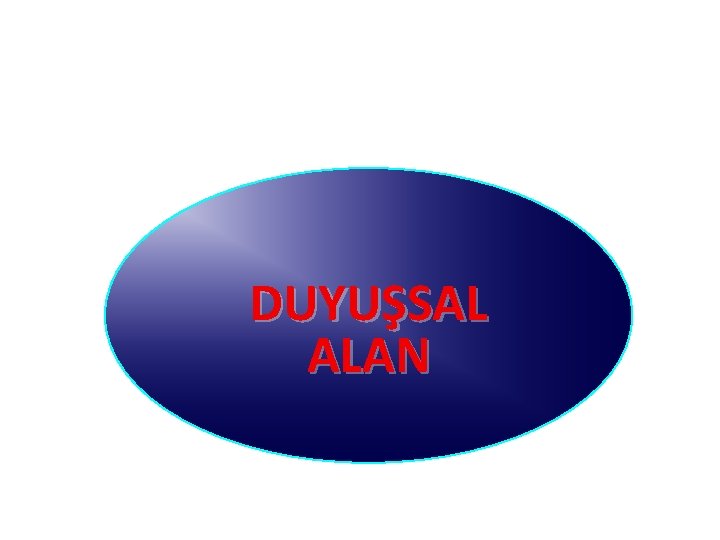 DUYUŞSAL ALAN 