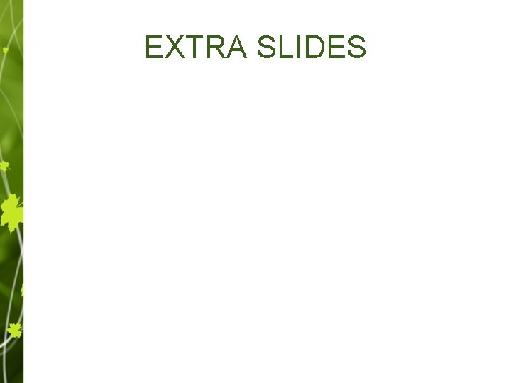 EXTRA SLIDES 