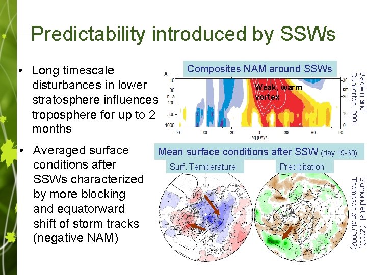 Predictability introduced by SSWs Weak, warm vortex Mean surface conditions after SSW (day 15