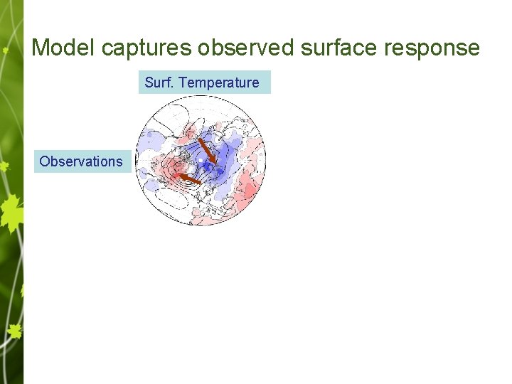 Model captures observed surface response Surf. Temperature Observations Forecast Precipitation 