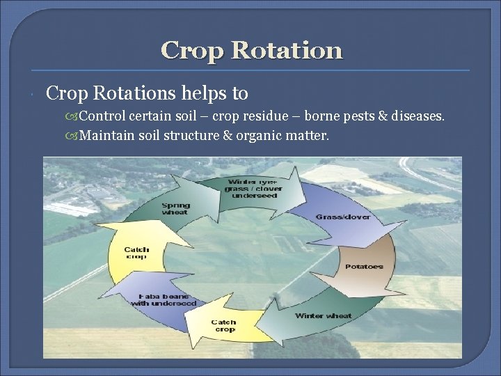 Crop Rotation Crop Rotations helps to Control certain soil – crop residue – borne