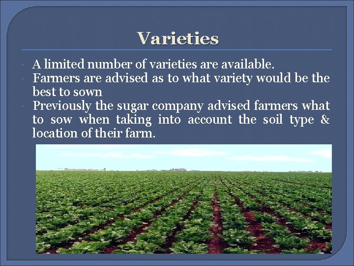 Varieties A limited number of varieties are available. Farmers are advised as to what