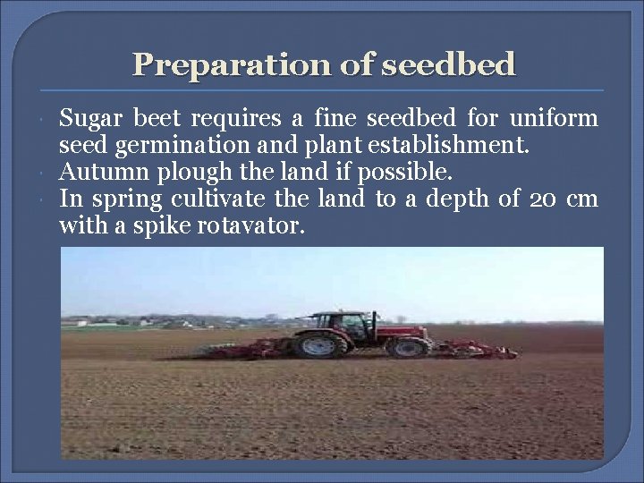 Preparation of seedbed Sugar beet requires a fine seedbed for uniform seed germination and