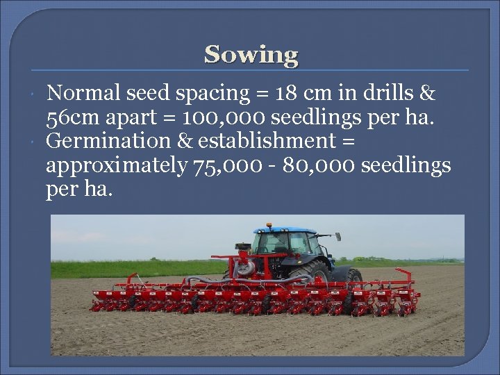 Sowing Normal seed spacing = 18 cm in drills & 56 cm apart =