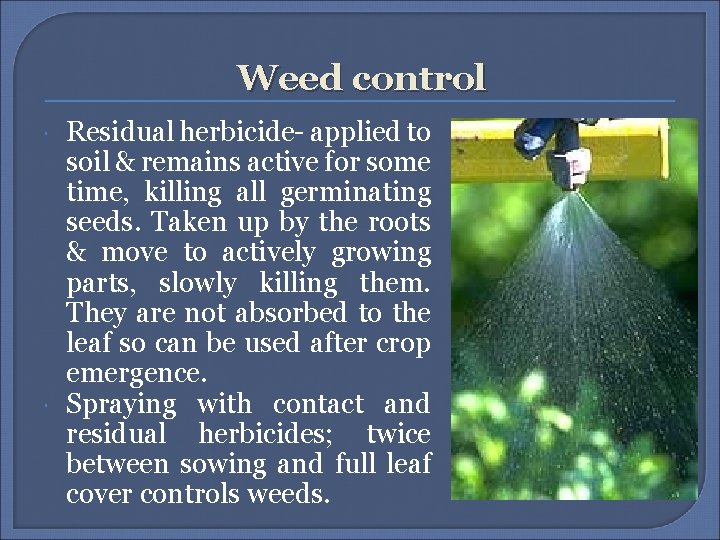 Weed control Residual herbicide- applied to soil & remains active for some time, killing