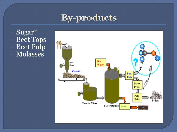 By-products Sugar* Beet Tops Beet Pulp Molasses 