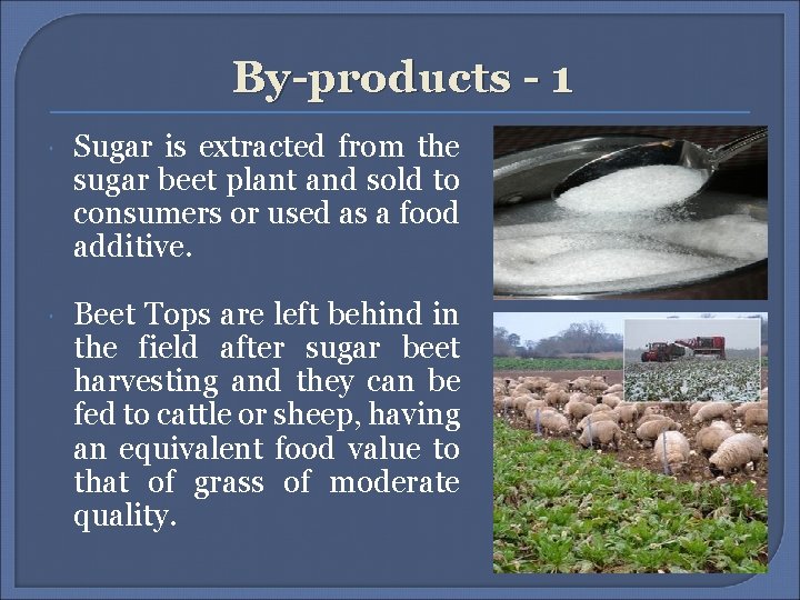 By-products - 1 Sugar is extracted from the sugar beet plant and sold to