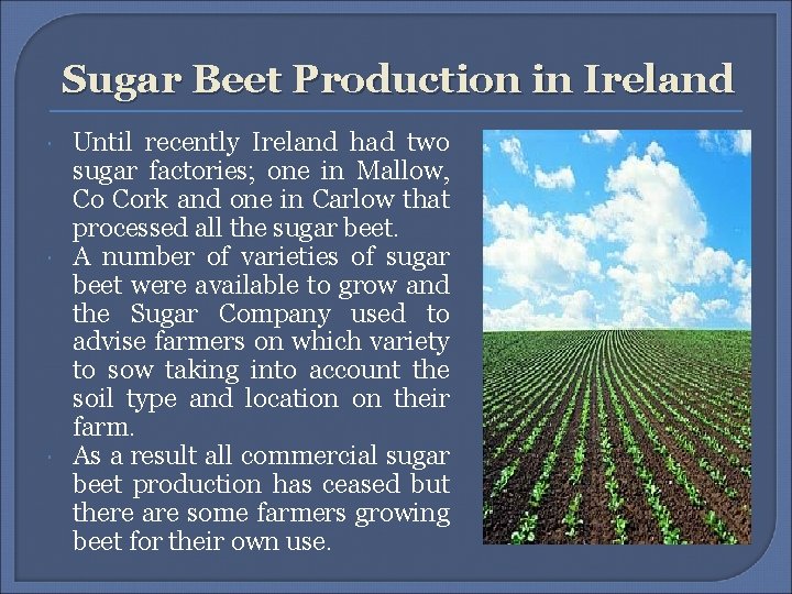 Sugar Beet Production in Ireland Until recently Ireland had two sugar factories; one in