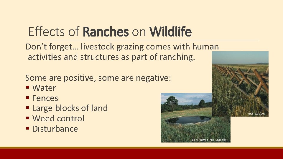 Effects of Ranches on Wildlife Don’t forget… livestock grazing comes with human activities and Effects of Ranches on Wildlife Don’t forget… livestock grazing comes with human activities and