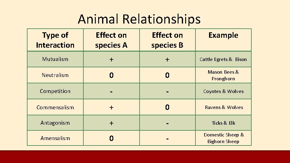 Animal Relationships Type of Interaction Effect on species A Effect on species B Example Animal Relationships Type of Interaction Effect on species A Effect on species B Example