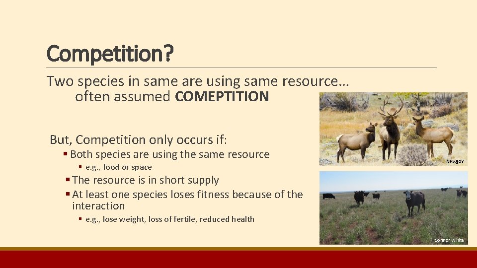 Competition? Two species in same are using same resource… often assumed COMEPTITION But, Competition Competition? Two species in same are using same resource… often assumed COMEPTITION But, Competition