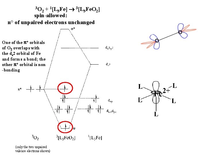 3 O 2 + 1[L 5 Fe] 3[L 5 Fe. O 2] spin-allowed: n°