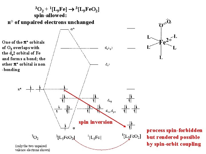 3 O 2 + 1[L 5 Fe] 3[L 5 Fe. O 2] spin-allowed: n°