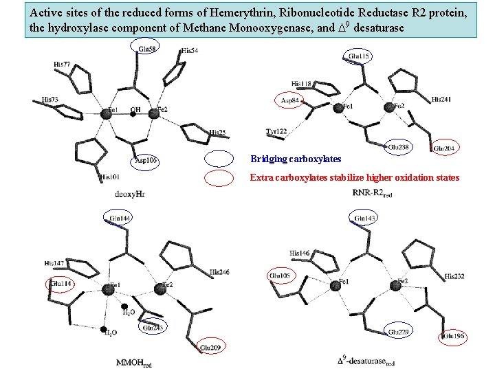 Active sites of the reduced forms of Hemerythrin, Ribonucleotide Reductase R 2 protein, the