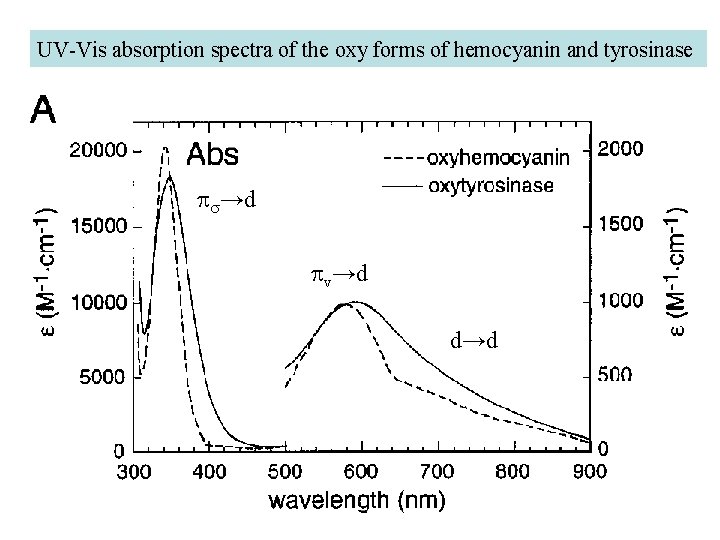 UV-Vis absorption spectra of the oxy forms of hemocyanin and tyrosinase ps→d pv→d d→d