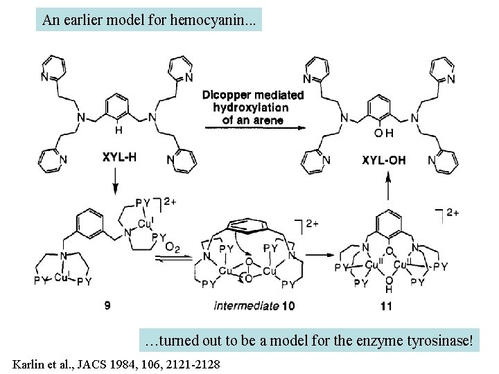 An earlier model for hemocyanin. . . …turned out to be a model for