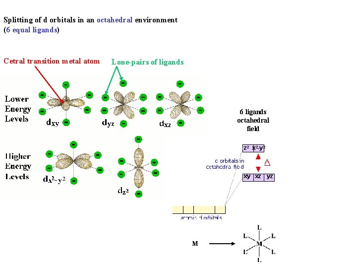 Splitting of d orbitals in an octahedral environment (6 equal ligands) Cetral transition metal