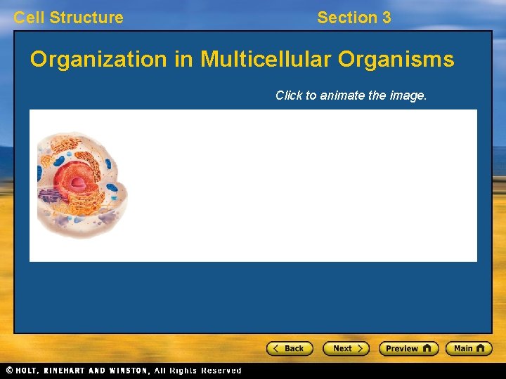 Cell Structure Section 3 Organization in Multicellular Organisms Click to animate the image. 