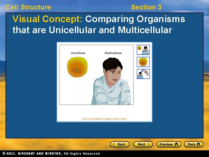 Cell Structure Section 3 Visual Concept: Comparing Organisms that are Unicellular and Multicellular 