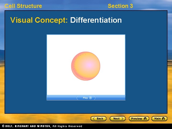 Cell Structure Section 3 Visual Concept: Differentiation 
