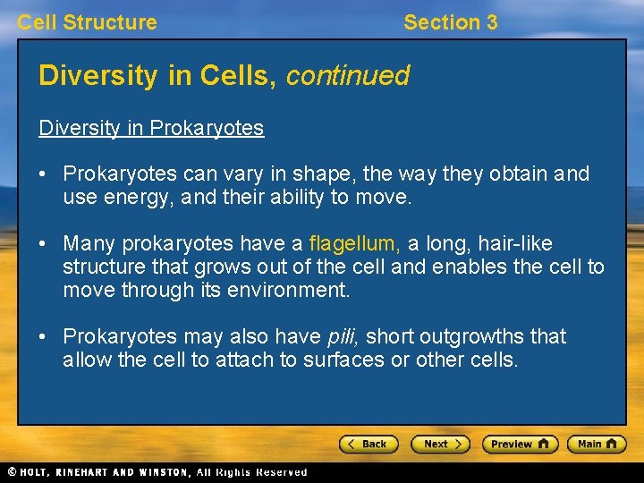 Cell Structure Section 3 Diversity in Cells, continued Diversity in Prokaryotes • Prokaryotes can