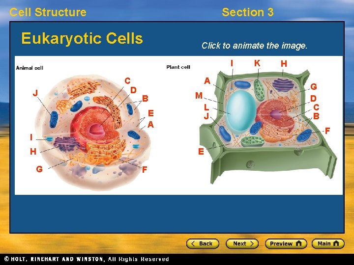 Cell Structure Section 3 Eukaryotic Cells Click to animate the image. I J C